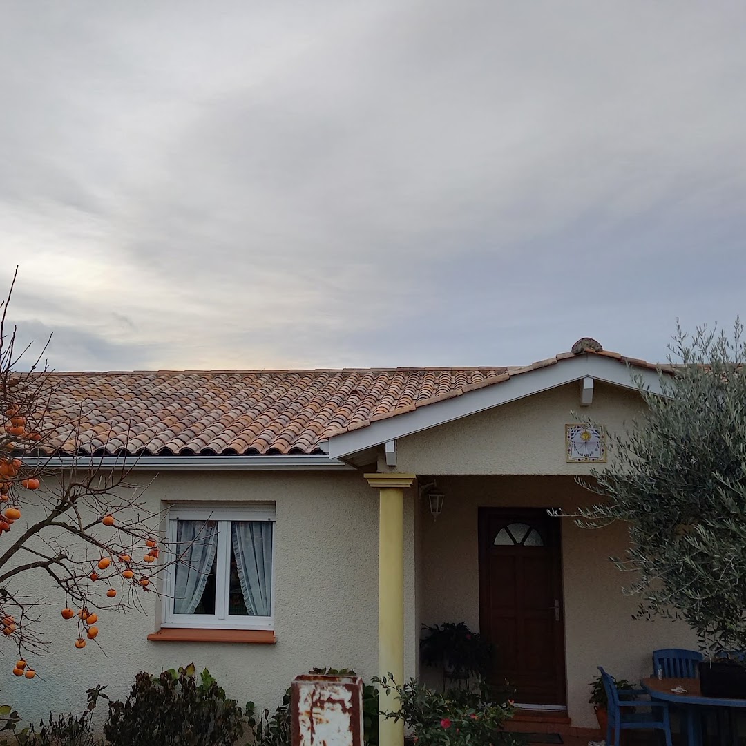 dibard toiture/nettoyage/peinture — Photos 1